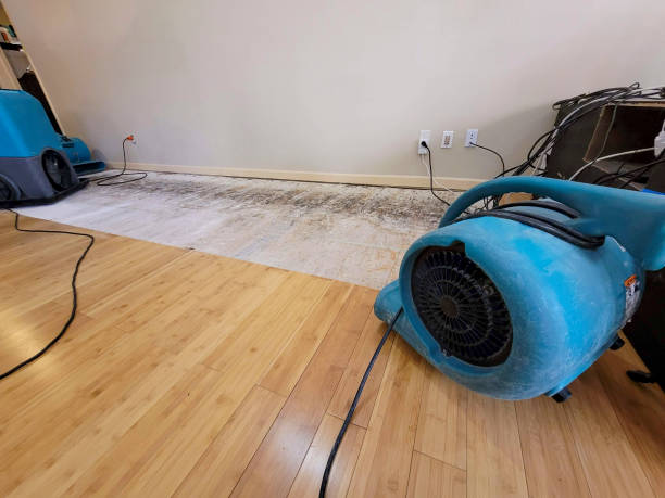 Professional Water Damage Repair technician working in Austin, IN
